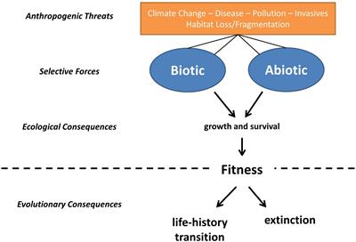 Early Development Drives Variation in Amphibian Vulnerability to Global Change
